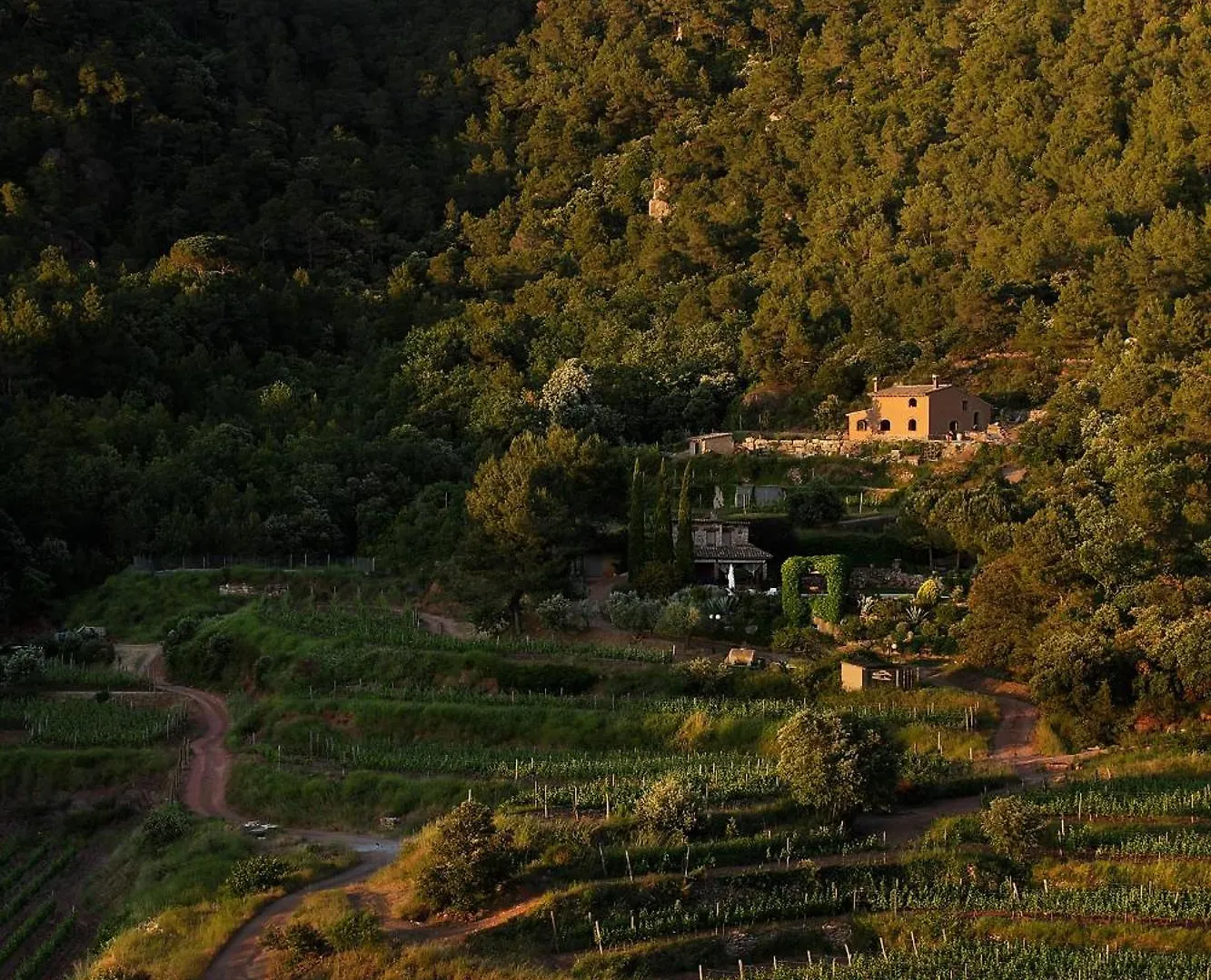 Foina Dels Fontanals Villa Falset